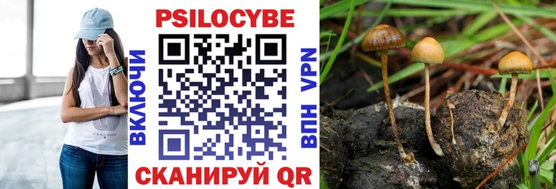 Галлюциногенные грибы Cubensis  Дивногорск 